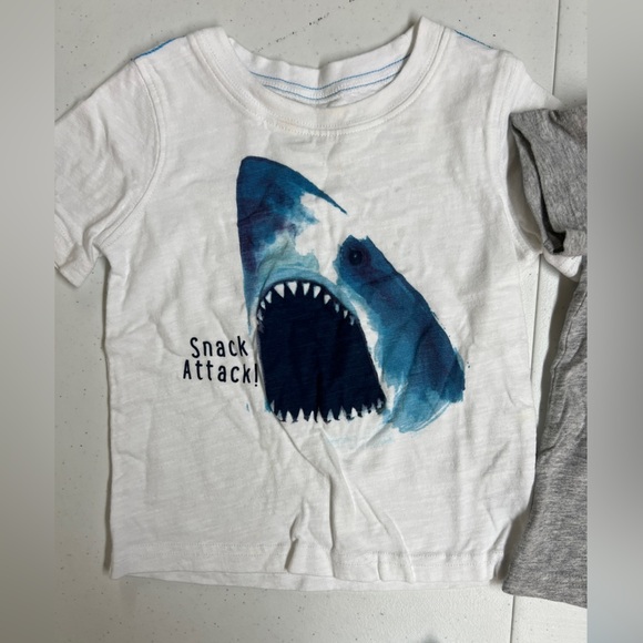 Carter’s T-shirt Bundle 24M - Picture 4 of 7